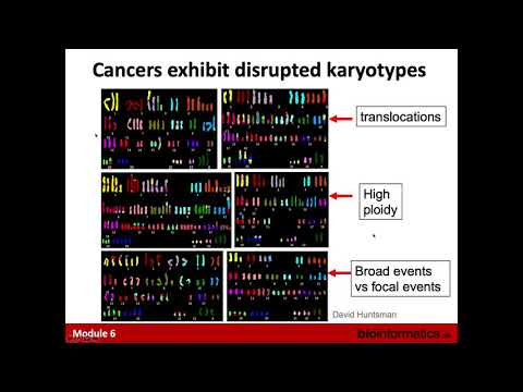 Copy Number Variants by Sorana Morrissy