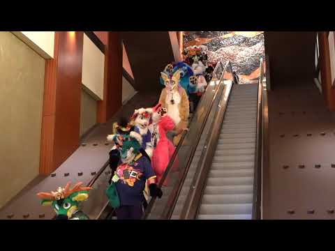 PDFC 2024 Fur Parade