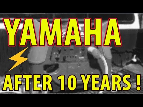 REVIEW: ⚡️ Yamaha EF3000iSEB ⚡️ Inverter Generator AFTER 10 YEARS! stupefied