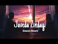 Javeda Zindagi Anwar Slowed Reverb