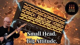 Video thumbnail for Bad Cat Ocelot — Small Head, Huge Tone! by Passion For Tone