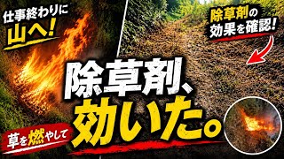 【仕事終わり】除草剤を撒いた山…1週間後の結果がこちら
