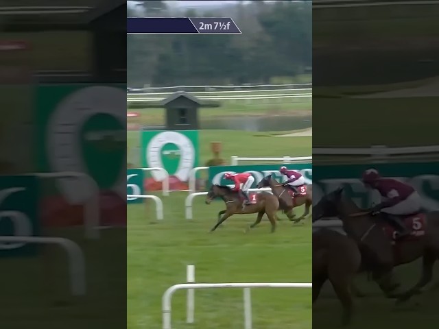 Thumbnail for Post ID: 3fHjZ6rnX9o