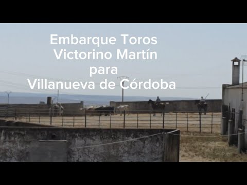 Embarque Toros Victorino Martín para Villanueva de Córdoba