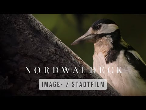 Nordwaldeck ✪ Imagefilm / Stadtfilm