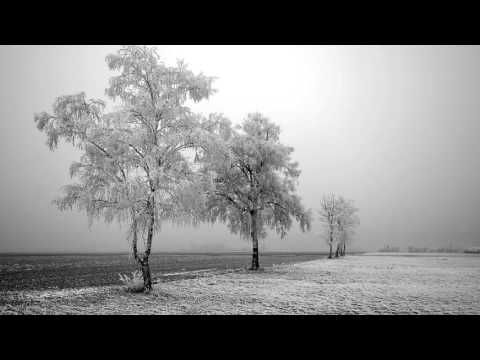 Lazar Berman - Scriabin - Fantasy in B minor, Op 28