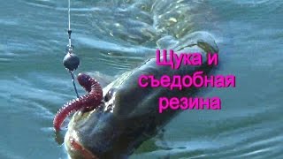 Ловля на сьедобную резину