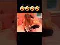 New Funny and Fail Videos 2023 😂 Cutest People Doing Funny Things 😺😍 Part 78#shorts