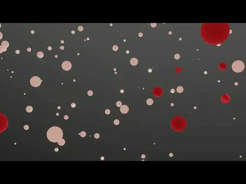 R3YAN, Kaphy & Apolloe - More