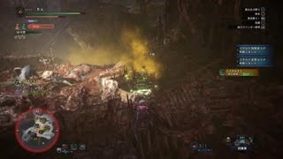 モンスターハンターワールド：アイスボーン_20200812033151