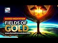 Guided Meditation - Fields Of Gold (Manifest Abundance And Prosperity)