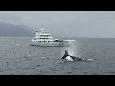 video of Hike Expedition Yacht