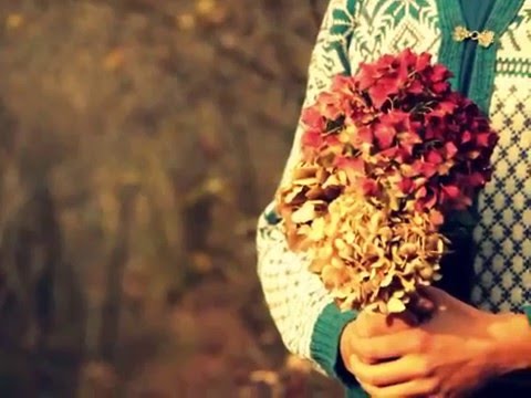 video frame placeholder