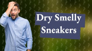 How do you dry wet smelly sneakers?
