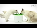 Видео о товаре Catit Senses 2.0 Flower Fountain, питьевой фонтанчик "Цветок", 3 л / Hagen (Германия)