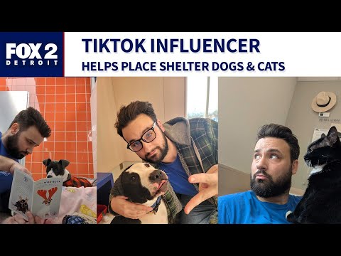 Lori's Stories Tommy's TikTok MARL pt 2 - YouTube