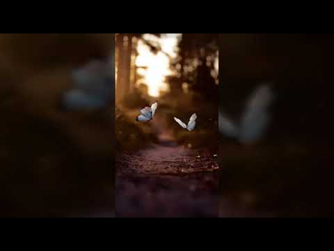 O Re Naseeba Sad Song😭😭 by Monali Thakur.....💔💔💔💔