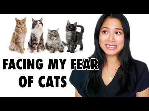 OPENING UP ABOUT MY BIGGEST FEAR | CAT PHOBIA (AILUROPHOBIA)