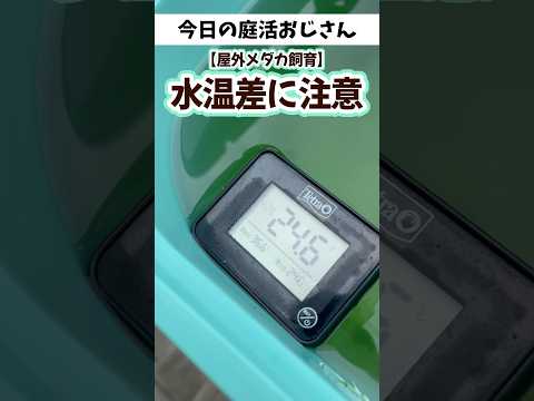 秋のマルチ：どのタイプを選択し、いつどのように適用するか？  庭園