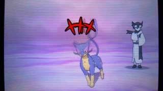 ポケモンSM　バトルツリー　スーパーダブル200連勝