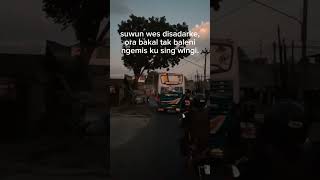 Download lagu STORY WA QUOTES BUS || Raiso ngapusi (slowed) || GARUDA MAS 'The mask of Zorro' mp3