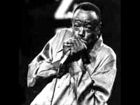 Lovie Lee with Carey Bell - Nobody Knows My Troubles