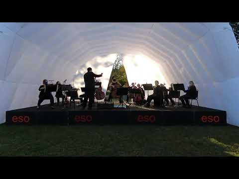Orchestra of the Eastern Shore: Tchaikovsky Andante Cantabile with Rebecca Gilmore