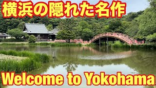【金沢区】【🐬🪴称名寺の庭園と日本最古の武家文庫「金沢文庫」を巡る🪴🐬】A tour of the Kanazawa Bunko, Japan's oldest samurai library🇯🇵