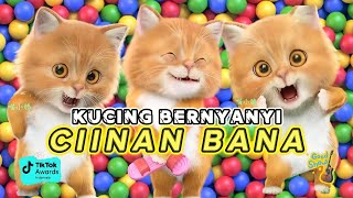 Download lagu LAGU MINNAG FAUZANA CIINAN BANA VERSI KUCING LUCU DAN KAWAN KAWAN TERBARU mp3