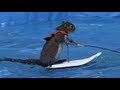 America S Got Talent 2012 Season 7 Week 5 Performances Howard Stern PsychoSoprano Recap