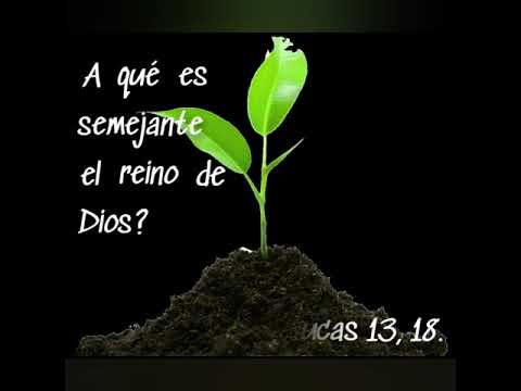 Lucas 13, 18.  Versículo. Evangelio del día.