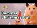 DIY Hamster Christmas Hat Vlogmas