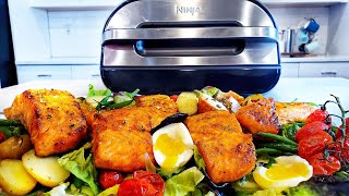 Ninja Foodi Smart XL Grill Honey Garlic Salmon Recipe