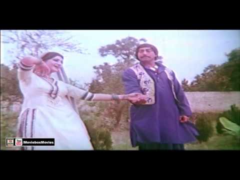 MAHI DABY DABY PAIR AA KE - PAKISTANI FILM JHAGRA