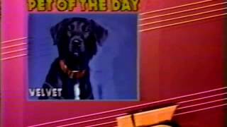 WNUV-TV/Baltimore station identification (1988)