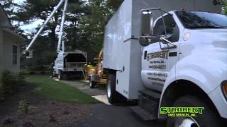 preview picture of video 'Tree Removal in Claymont DE | Strobert Tree Services'