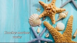 Sia | Sea Shells | Sub Español