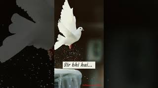 Download lagu sab apne nazariye pas rakho hum apna nazariya rakhte hai Rahat fateh ali khan WhatsApp Md Mustafa mp3 Download lagu sab apne nazariye pas rakho hum apna nazariya rakhte hai Rahat fateh ali khan WhatsApp Md Mustafa mp3