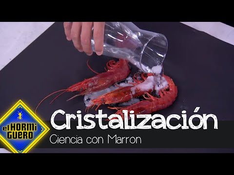 Así nos muestra el chef una de las cosas más alucinantes - El Hormiguero