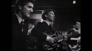 NEW * What Have They Done To The Rain - The Searchers {Stereo} 1965