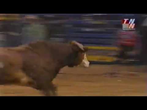 Freckles bucks Jesse Schellhamer - 01 PBR Finals