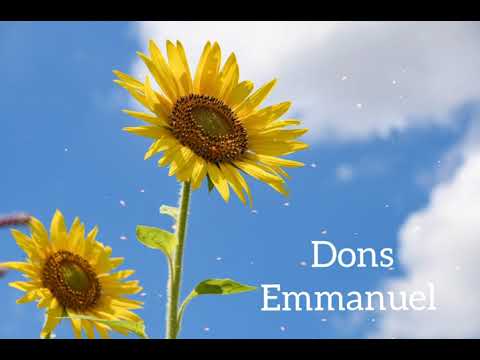 52 - Dons - Espírito: Emmanuel  - Médium: Chico Xavier.