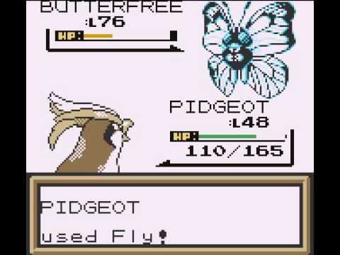 Pokemon Brown Walkthrough Part 39 - Final Dungeon #1