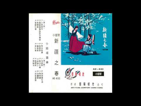 Chinese Music - Violin - 狂欢舞曲