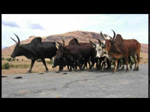 Ombi-tsaretin-dRaleva :Soley