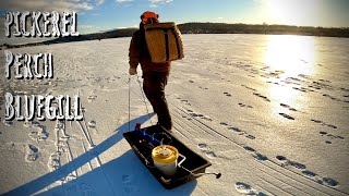WE HAVE ICE!!! First Ice Fishing Trip NJ 2021 | Pickerel On Tip Ups!
