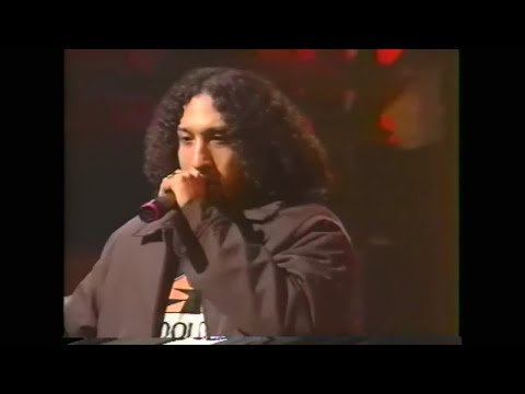 Cypress Hill - Insane In The Brain (Live 1993)