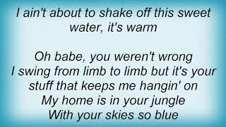 Sophie B. Hawkins - Swing From Limb To Limb Lyrics