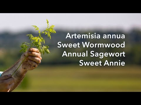 University of Kentucky and University of Kentucky Research