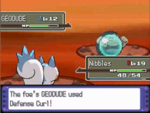 Pachirisu Only Run - Route 205 Trainers